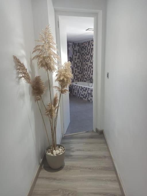 Casa Para Relajarse, Con Vistas. การาวากา เดลา กรูซ ภายนอก รูปภาพ